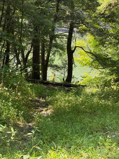 Tiny photo for 3105 Horton Flats Road Rd, Olive Hill, KY 41164 (MLS # 61096)