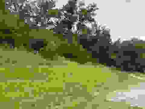 Tiny photo for 3105 Horton Flats Road Rd, Olive Hill, KY 41164 (MLS # 61096)