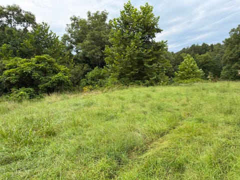 Tiny photo for 3105 Horton Flats Road Rd, Olive Hill, KY 41164 (MLS # 61096)