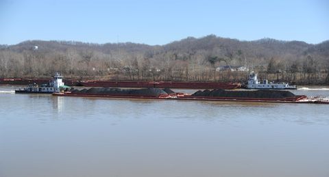 Tiny photo for 115 Private Drive 123, Crown City, OH 45623 (MLS # 60208)