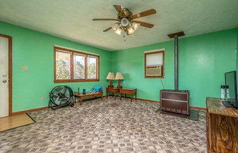 Tiny photo for 169 Lick Falls Road RD, Olive Hill, KY 41164 (MLS # 61464)