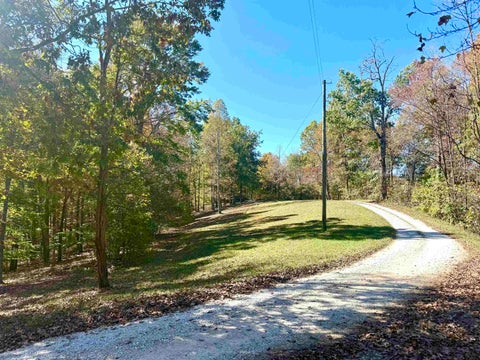 Tiny photo for 169 Lick Falls Road RD, Olive Hill, KY 41164 (MLS # 61464)