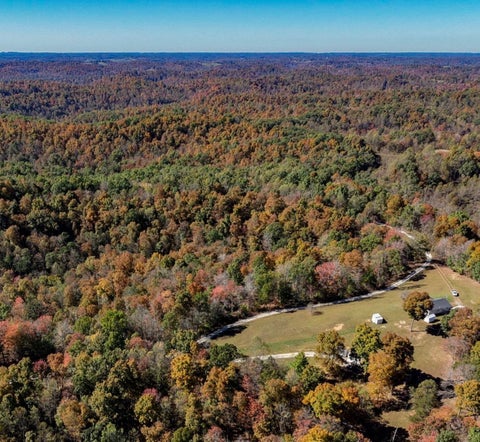 Tiny photo for 169 Lick Falls Road RD, Olive Hill, KY 41164 (MLS # 61464)