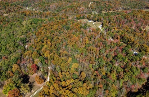 Tiny photo for 169 Lick Falls Road RD, Olive Hill, KY 41164 (MLS # 61464)