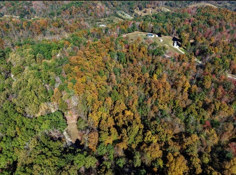 Tiny photo for 169 Lick Falls Road RD, Olive Hill, KY 41164 (MLS # 61464)
