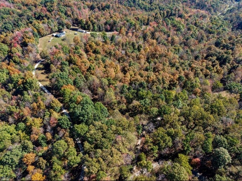 Tiny photo for 169 Lick Falls Road RD, Olive Hill, KY 41164 (MLS # 61464)
