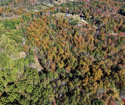 Tiny photo for 169 Lick Falls Road RD, Olive Hill, KY 41164 (MLS # 61464)