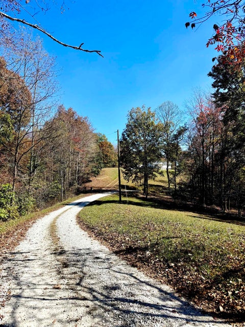 Tiny photo for 169 Lick Falls Road RD, Olive Hill, KY 41164 (MLS # 61464)