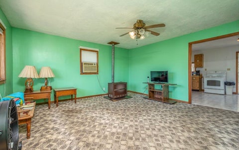 Tiny photo for 169 Lick Falls Road RD, Olive Hill, KY 41164 (MLS # 61464)