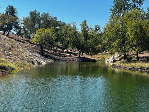 Photo of 481 Living Water Ranch Rd., Harper, TX 78631 (MLS # 104574)