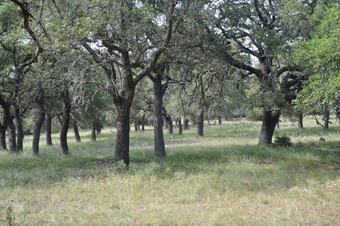 Photo of 18043 Fm 479, Harper, TX 78631 (MLS # 99373)
