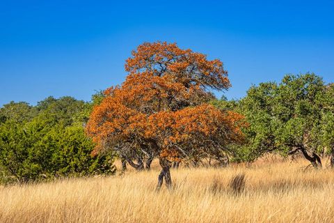 Photo of 18 Legacy Oaks Dr, Harper, TX 78631 (MLS # 100510)