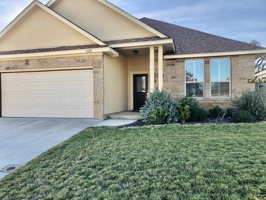 229 RILEY LN, FREDERICKSBURG, TX 78624 - Image 3bb082debe62936989026c416a4e3cea/4897543