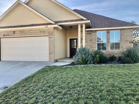 Photo of 229 Riley Lane, Fredericksburg, TX 78624 (MLS # 104527)