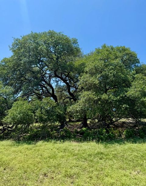 Photo of TBD Grape Creek Rd, Fredericksburg, TX 78624 (MLS # 103885)