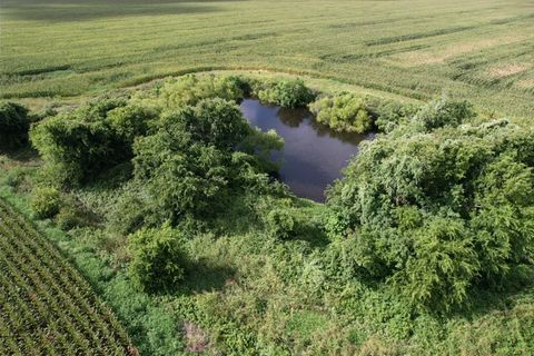 Photo of 3361 Fm 1862, Palacios, TX 77465 (MLS # 97571)