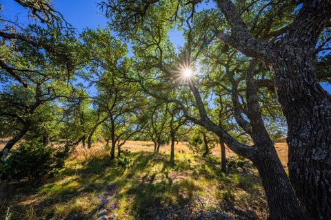 Photo of 1357 Legacy Oaks Dr, Harper, TX 78631 (MLS # 100512)