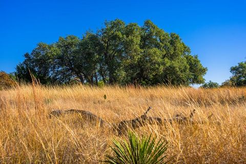 Photo of 1357 Legacy Oaks Dr, Harper, TX 78631 (MLS # 100509)