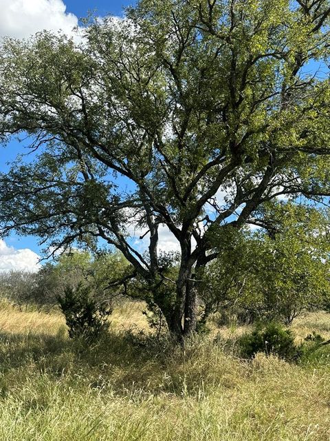Photo of 1981 Kothman Rd, Mason, TX 76856 (MLS # 101868)