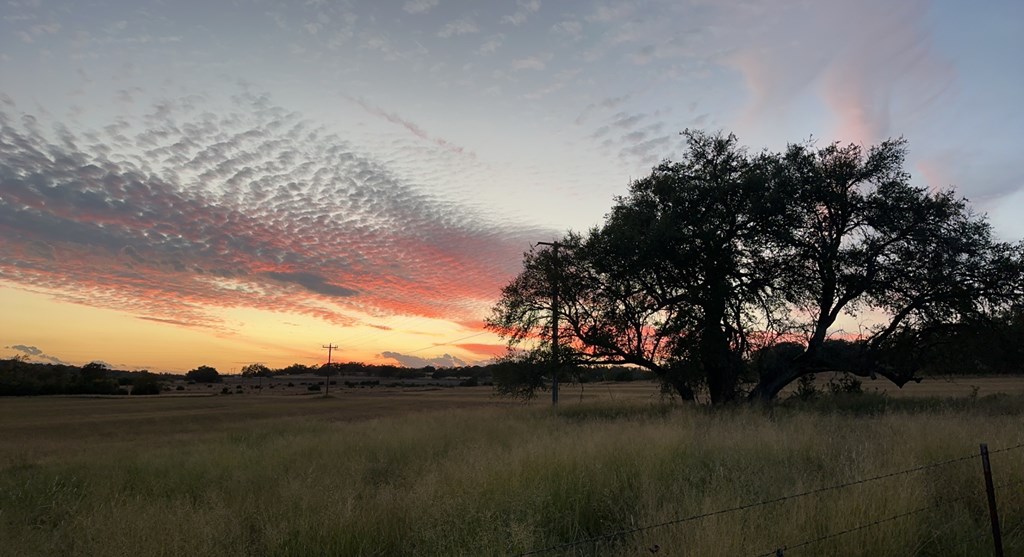 Fredericksburg, Texas, 78624, United States, 3 Bedrooms Bedrooms, ,3 BathroomsBathrooms,Residential,Active,2045665