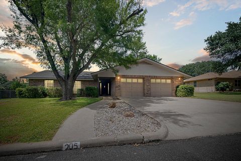 Photo of 205 Crestwood Dr, Fredericksburg, TX 78624 (MLS # 98619)