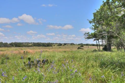 Photo of 2600 Reservation Rd, Harper, TX 78631 (MLS # 104634)