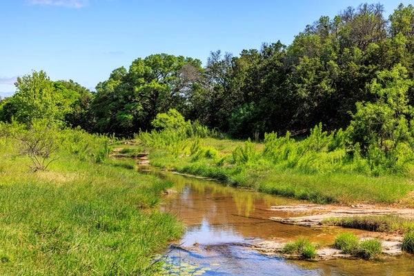 2195 LANGES MILL RD, DOSS, TX 78618 - Image a0e7d30e6ffb129dc82e5a27cdbd095c/695700424