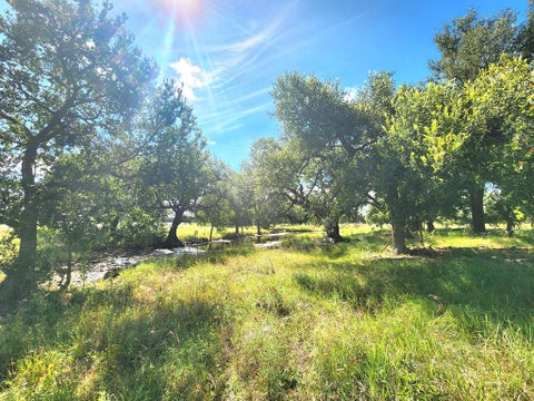 Photo of 290 E County Rd 409, Cherokee, TX 76832 (MLS # 104742)