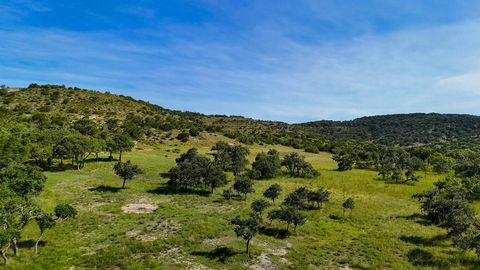 Photo of 1215 Montell Rd, Wimberley, TX 78676 (MLS # 104234)