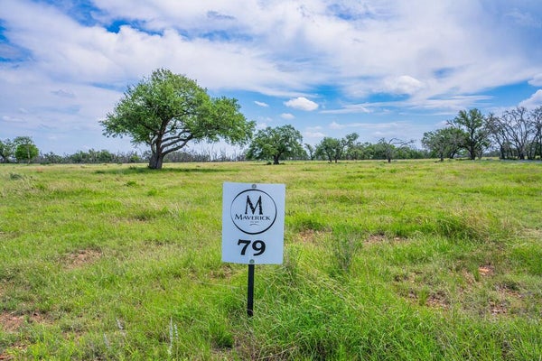 LOT 79 STOCK POND DR, HARPER, TX 78631 - Image b16ef02fdfdbeca6c1167b96544d01b9/2734088540