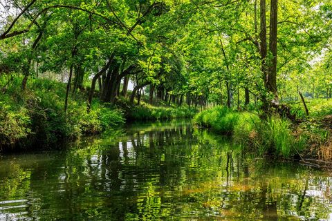 Photo of 199 Lexington Dr, Fredericksburg, TX 78624 (MLS # 104293)