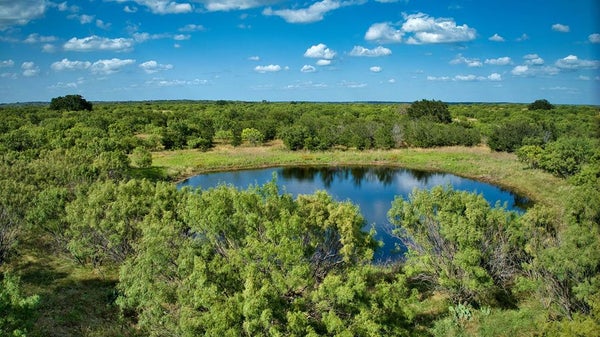 2042 FM 574 W, MULLIN, TX 76864 - Image e5d7e578e4fb3ee8fc8ed381966298fd/3171239211