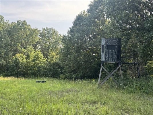 BETHEL RIDGE RD, NOVINGER, MO 63559 - Image fb856c65a0ccb2da41d3c36bfa697f4d/1562766851