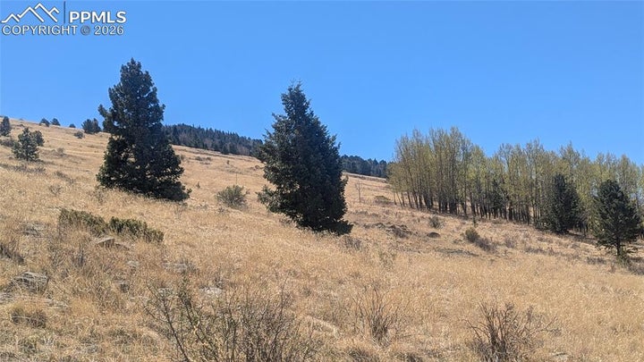 Spacious 1.65 acres