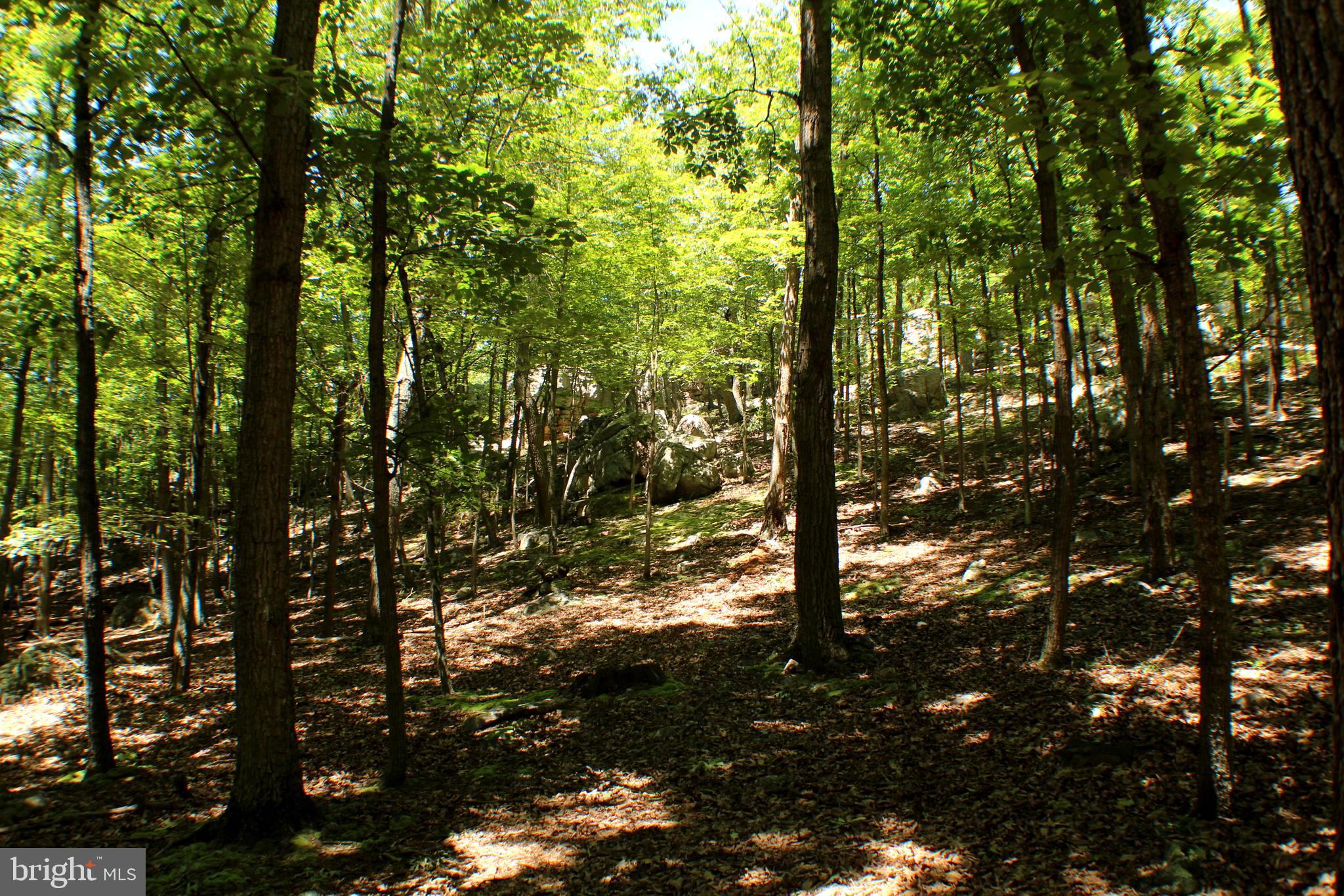 UNRESTRICTED LAND - Land