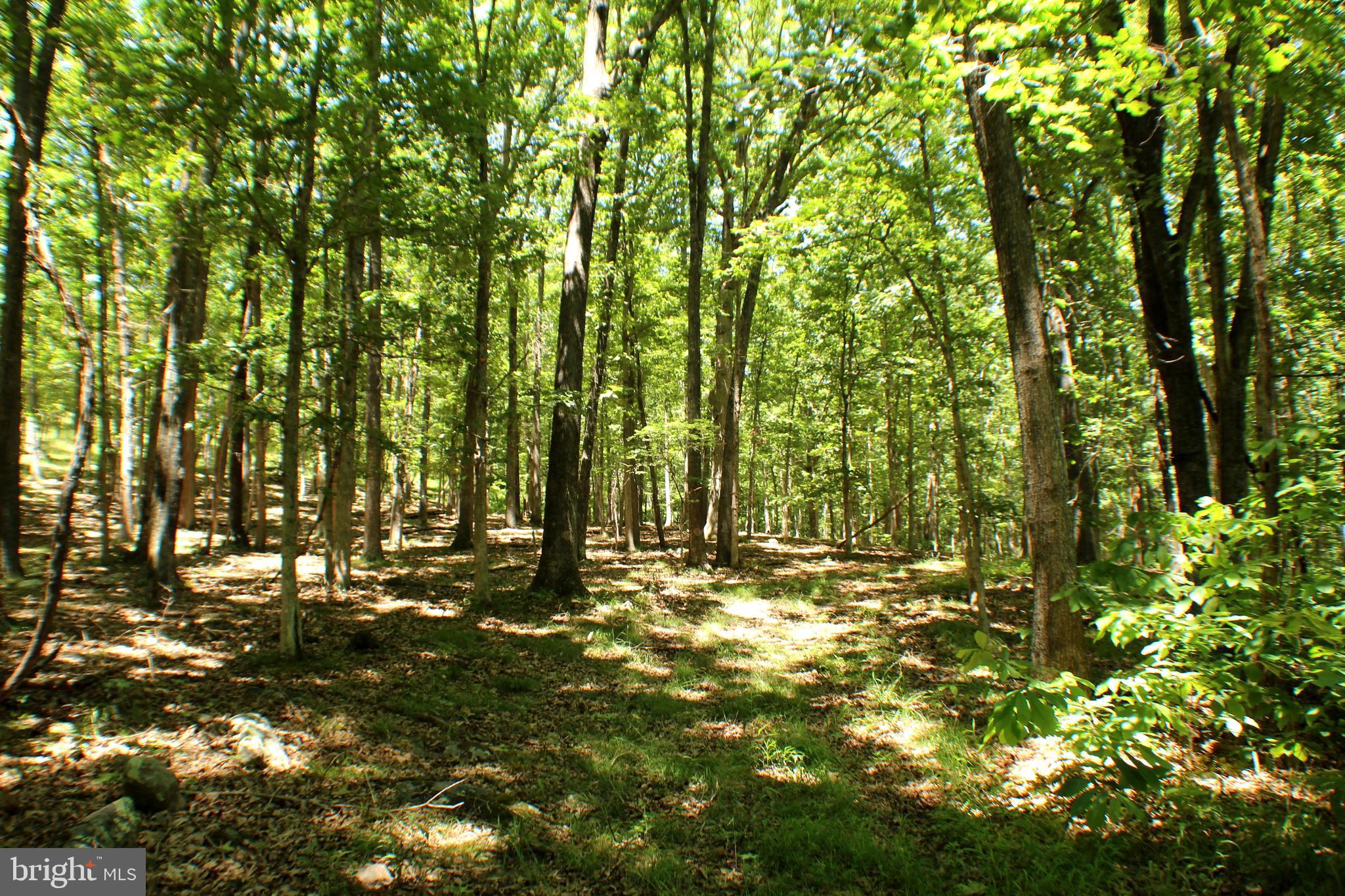 UNRESTRICTED LAND - Land