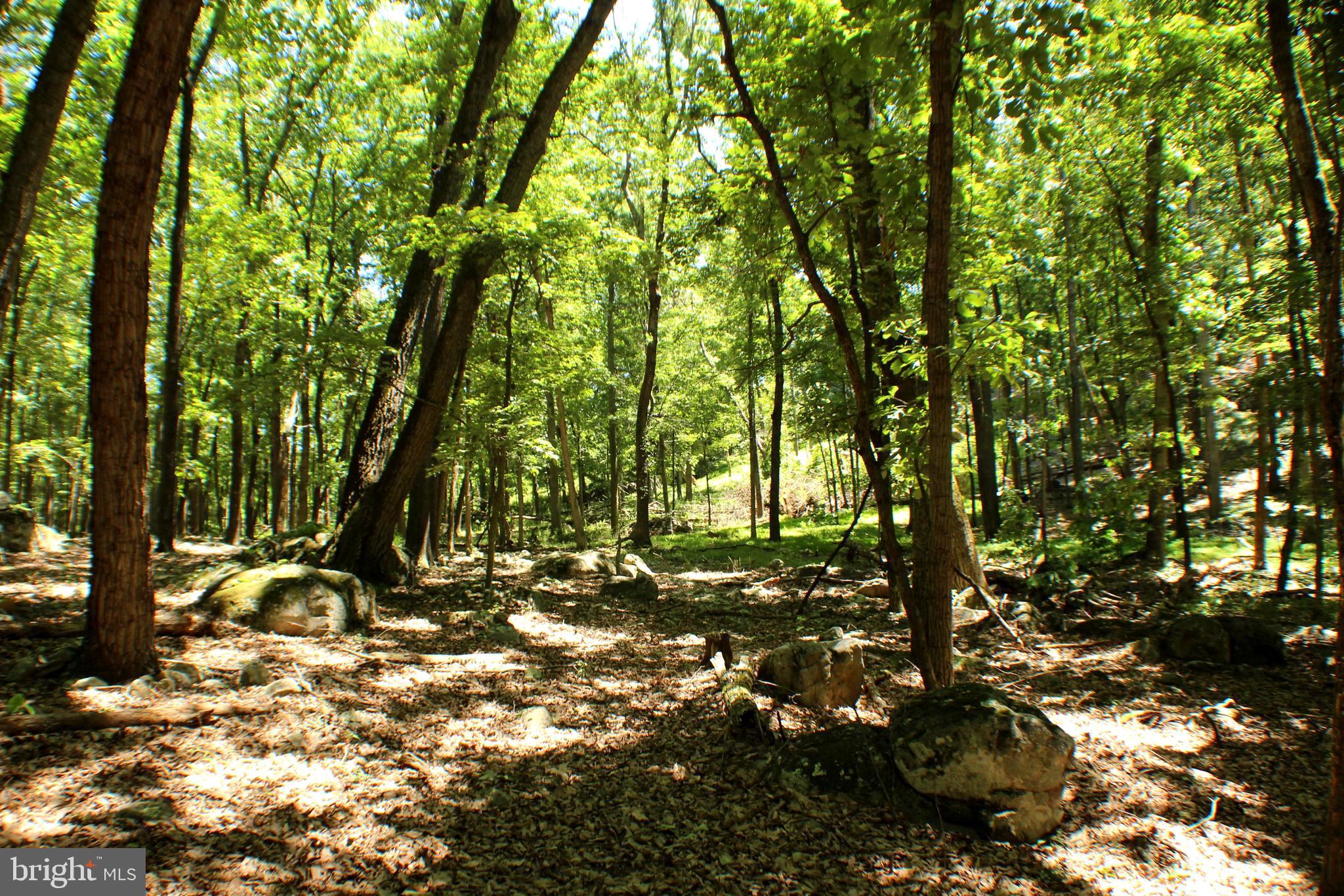 UNRESTRICTED LAND - Land