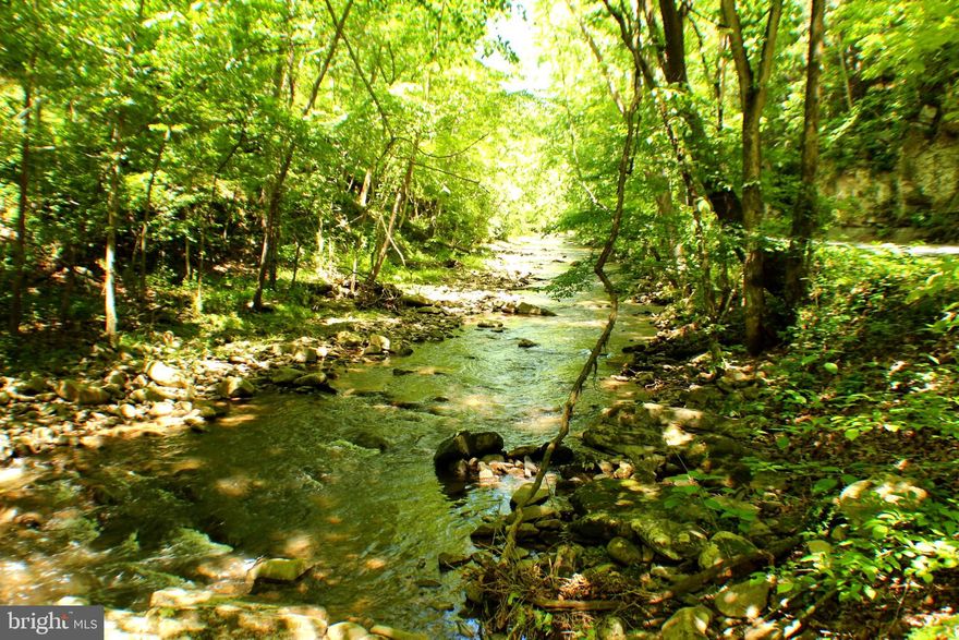 The Possibilities for this parcel are as Endless as are the VIEWS!! 127 UNRESTRICTED Acres in the Heart of the TROUGH & Potomac Highland! This property features an Unmatched Variety of Land Types ranging from, Wooded Acreage with Mature MARKETABLE TIMBER & Rock Outcroppings that can be found along Stoney Run that flows along the property. As a bonus this property adjoins WV STATE LAND -WV Wildlife Management which gives the opportunity for additional acreage to roam. Whether your desire is Hunting, Recreation, Entrepreneurship, Investment or Building your Dream Home this property has it all! What is more important than LOCATION?! Just minutes from the DNR Public RIVER ACCESS. A short trip to town for all the amenities.  Less than 2 Hours to DC, and a short drive to the National Forest, River Fun & Nearby Ski Resorts. Jump on this Amazing Opportunity Today and Give A Call For A Showing!