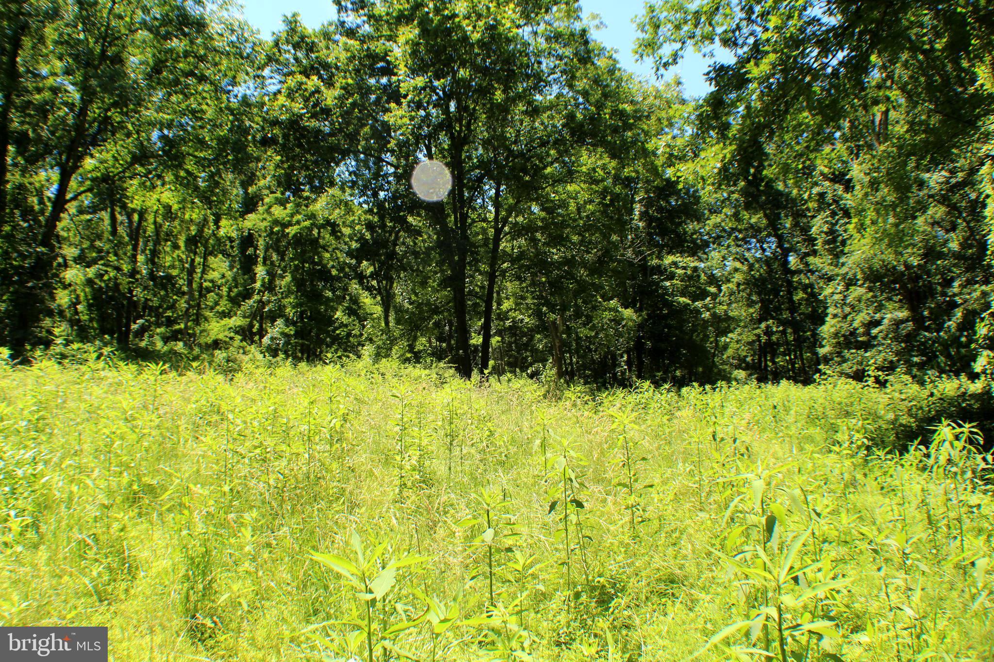 UNRESTRICTED LAND - Land