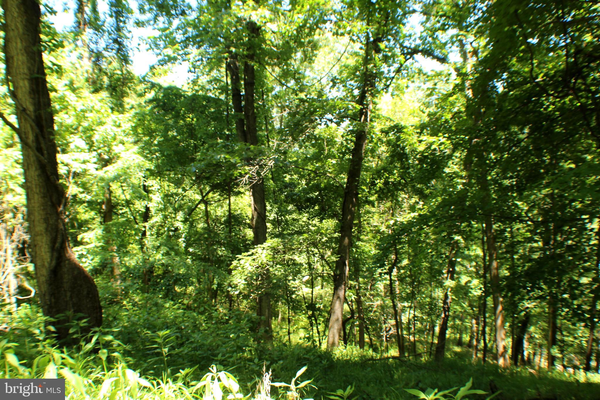 UNRESTRICTED LAND - Land