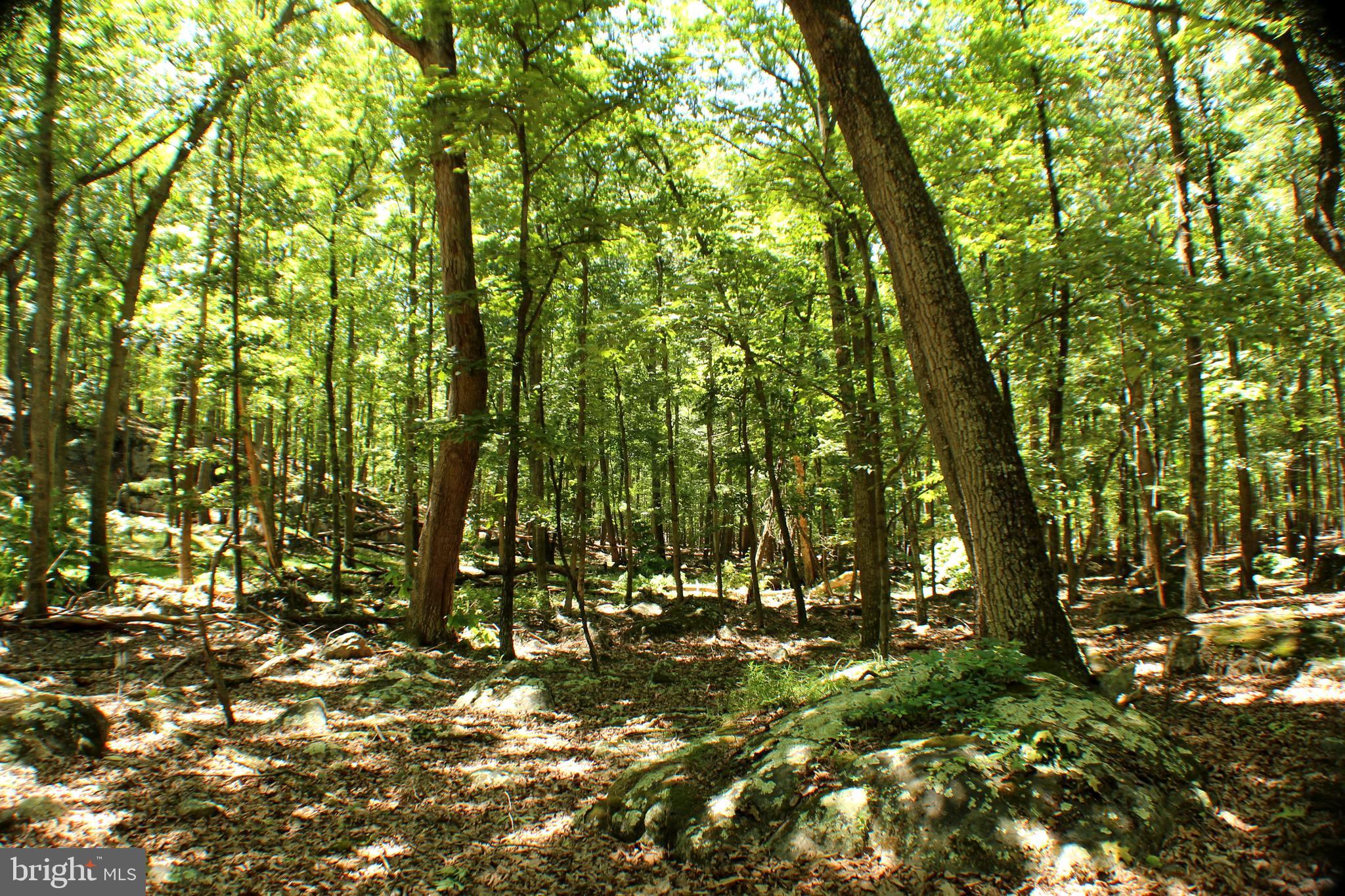 UNRESTRICTED LAND - Land