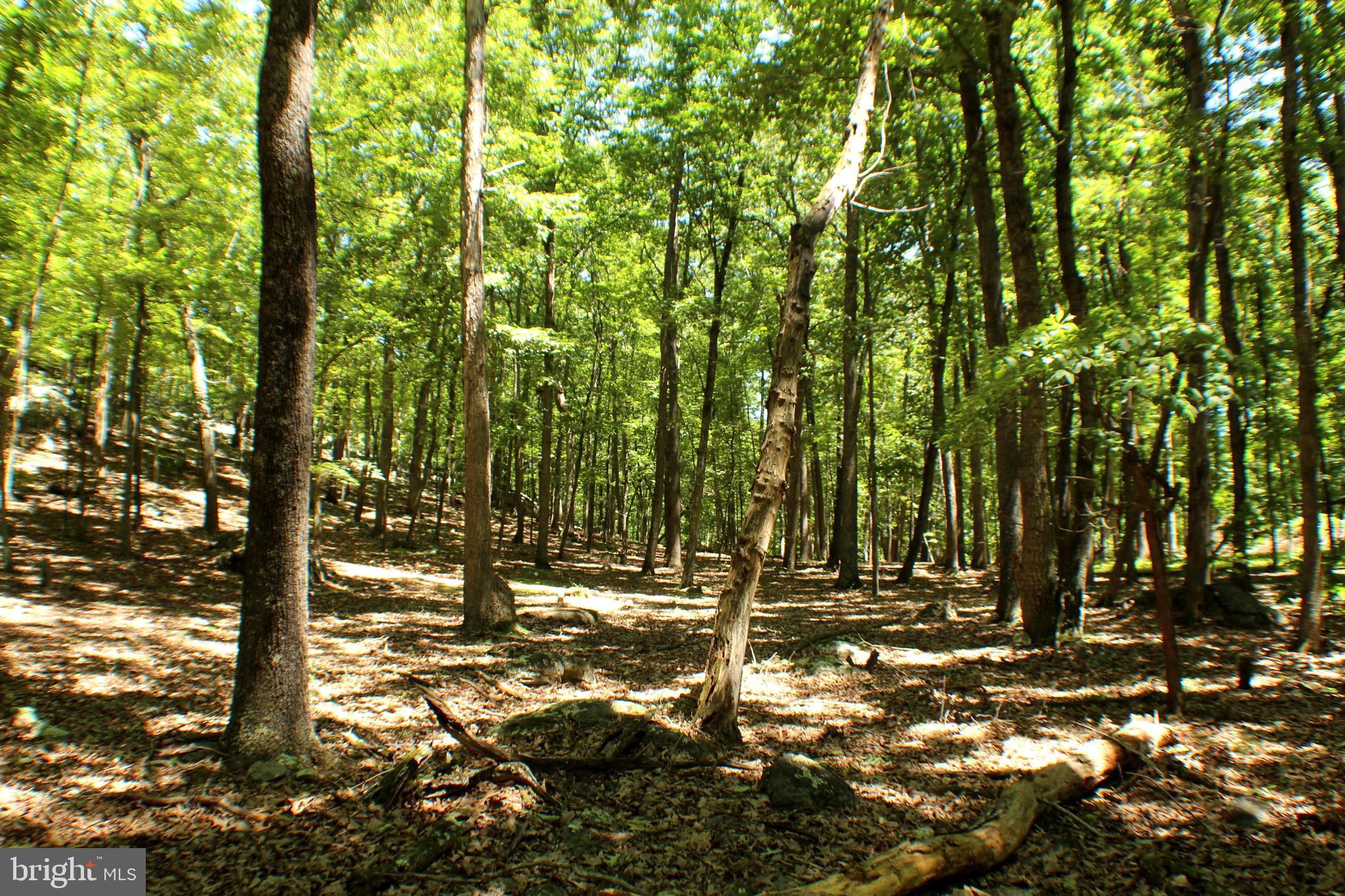 UNRESTRICTED LAND - Land