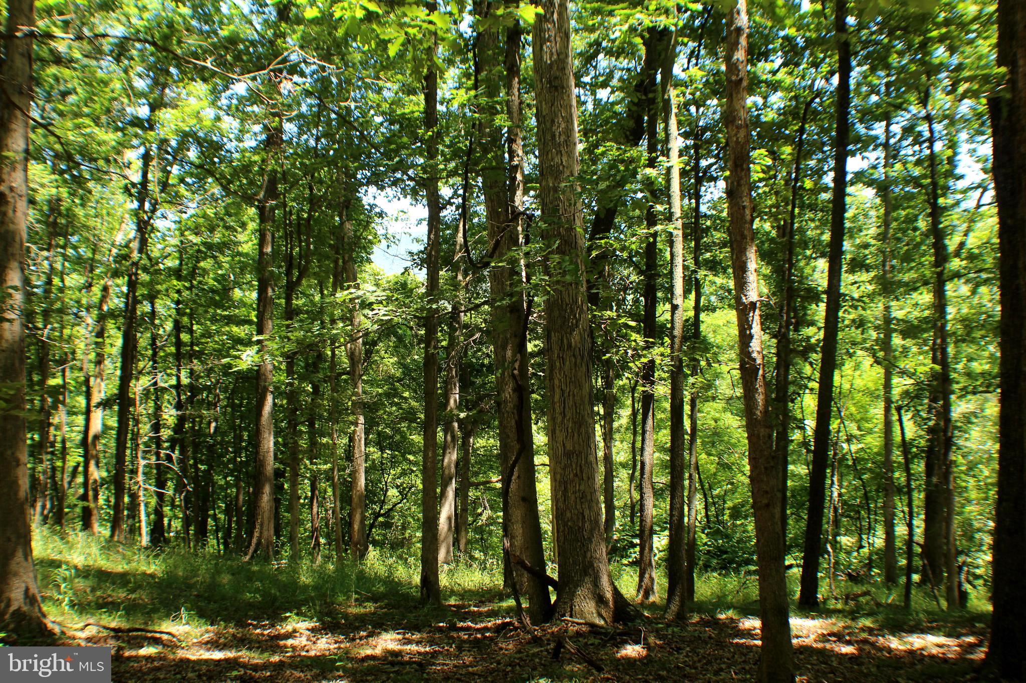 UNRESTRICTED LAND - Land