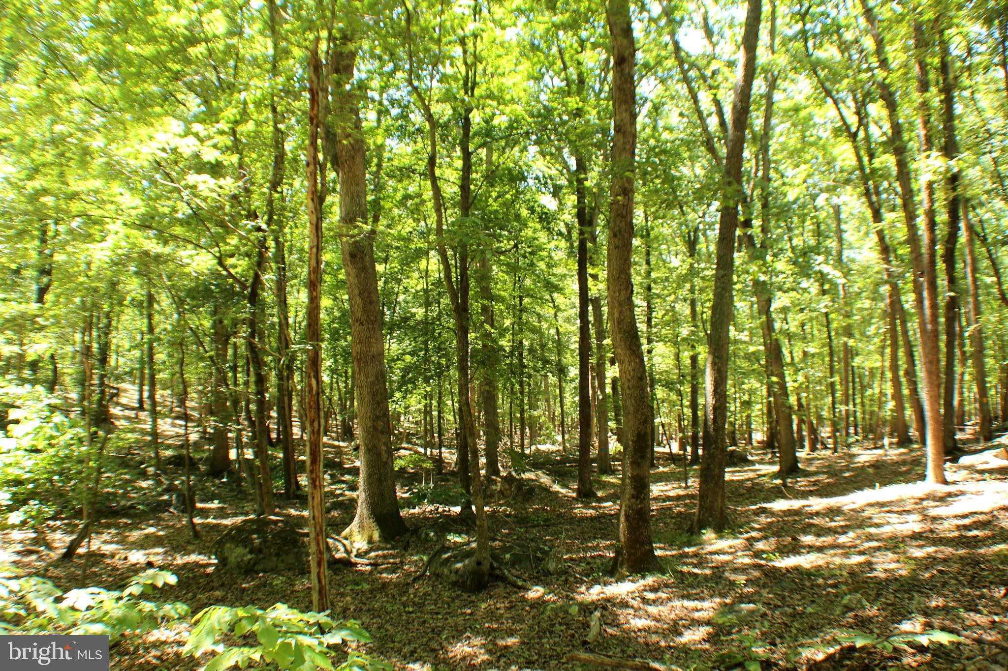 UNRESTRICTED LAND - Land