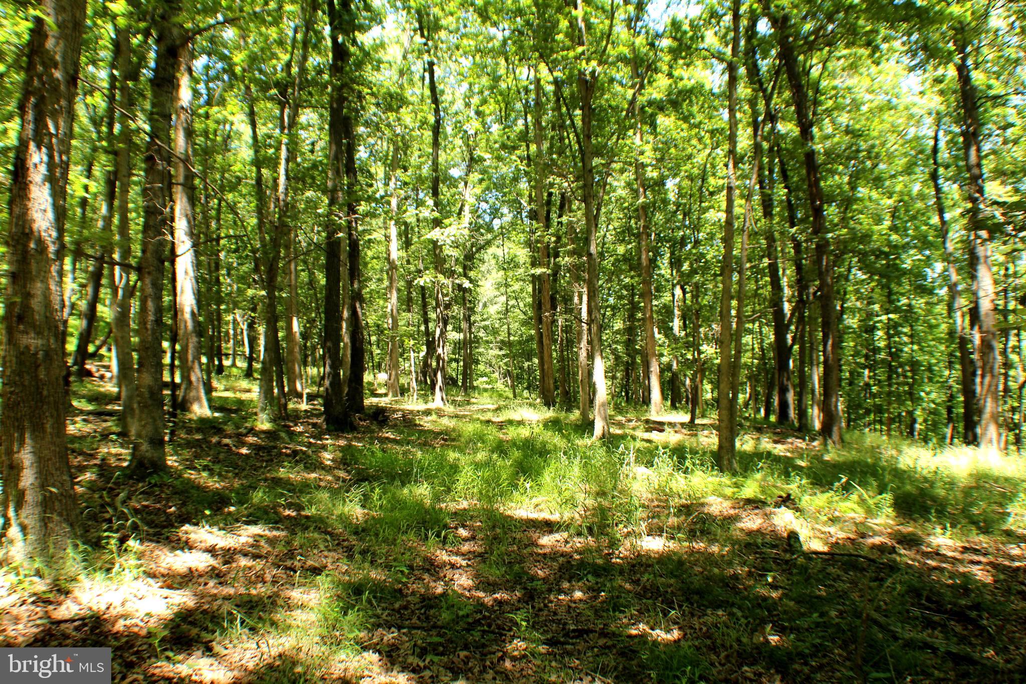 UNRESTRICTED LAND - Land