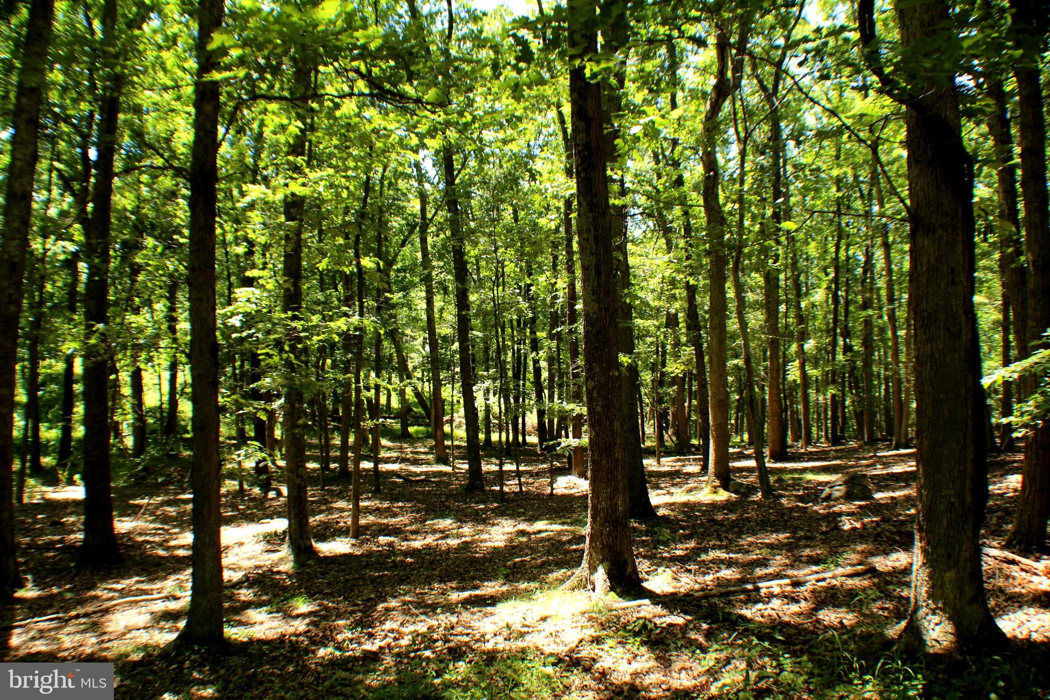 UNRESTRICTED LAND - Land