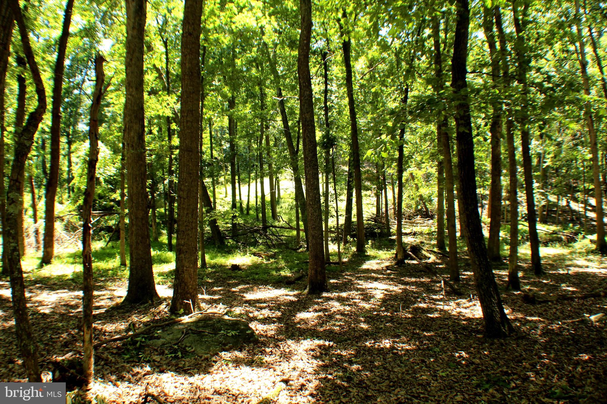 UNRESTRICTED LAND - Land