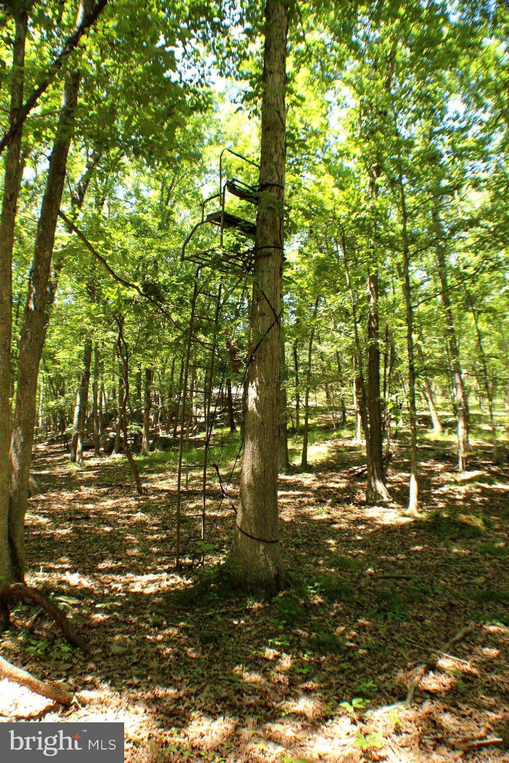 UNRESTRICTED LAND - Land