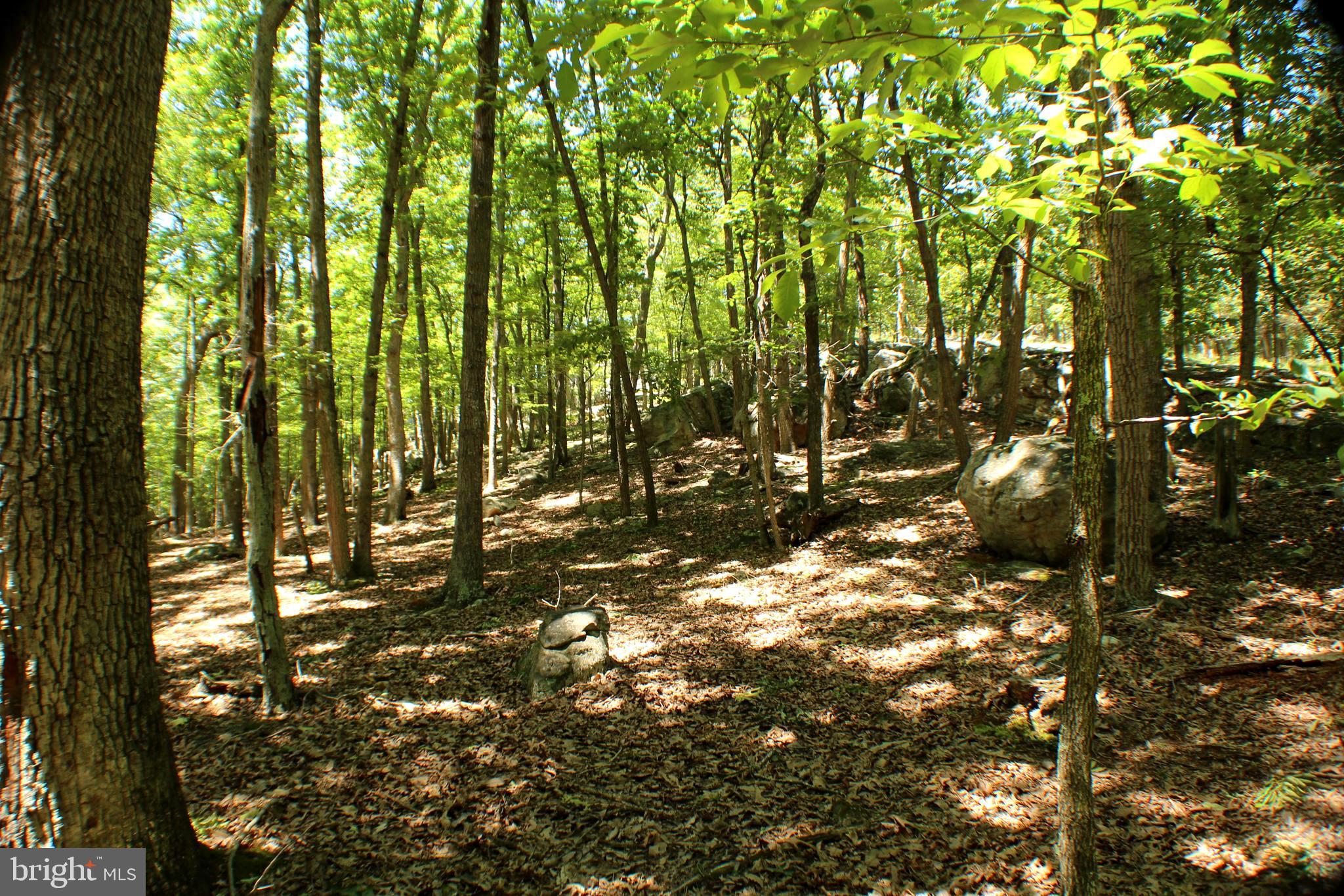 UNRESTRICTED LAND - Land