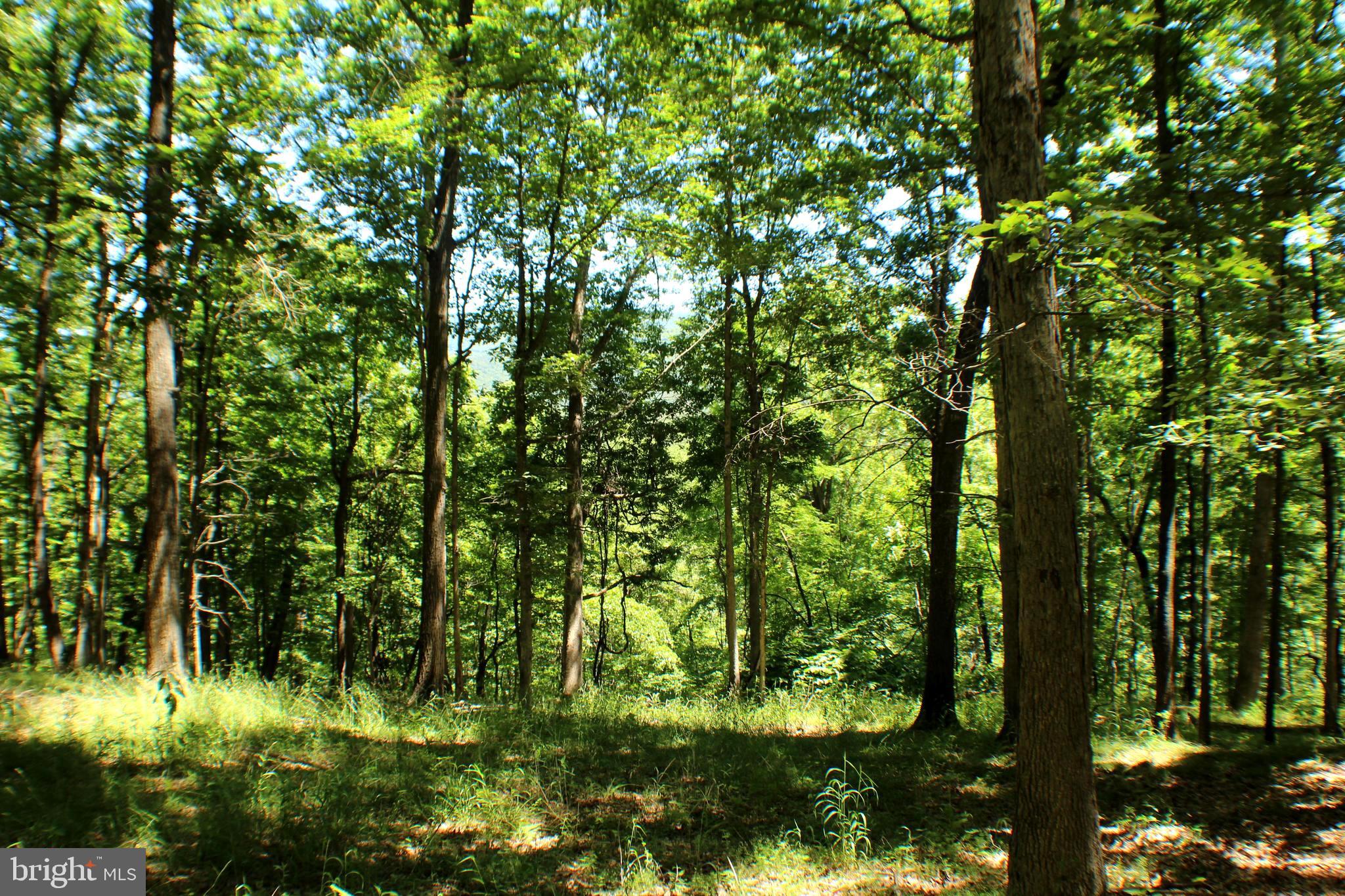 UNRESTRICTED LAND - Land